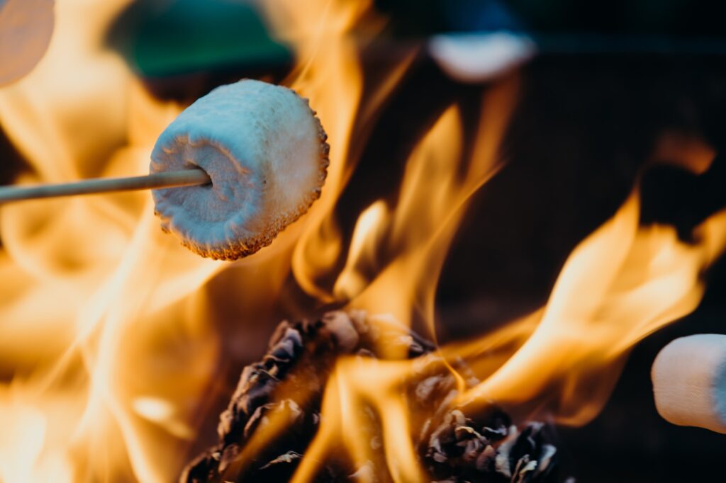 cooking marshmallow on a campfire
